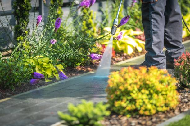 Best Dumpster Area Cleaning  in Corning, AR