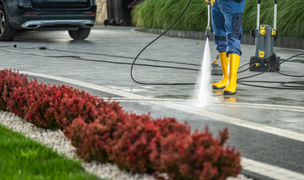 Best Driveway Pressure Washing  in Corning, AR